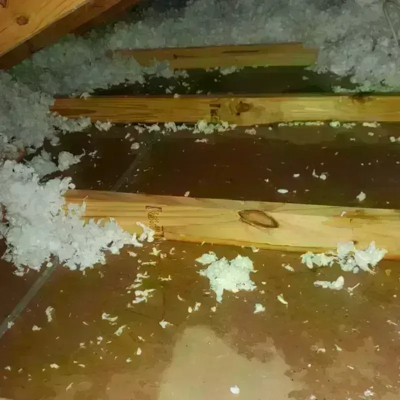 Best Attic Water Damage Service in Fairview Heights, IL