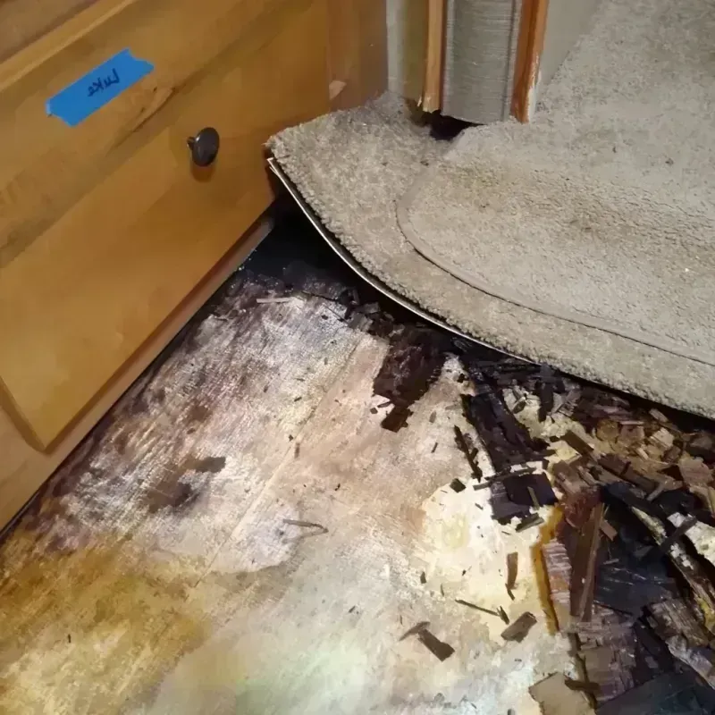 Wood Floor Water Damage in Fairview Heights, IL